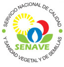 Certificacion sanitaria de semillas de Stevia en Paraguay